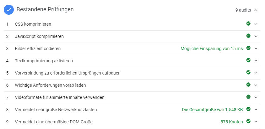 PageSpeed Insights listet auf, in welchen Punkten die Website bereits die Seitengeschwindigkeit optimiert hat.